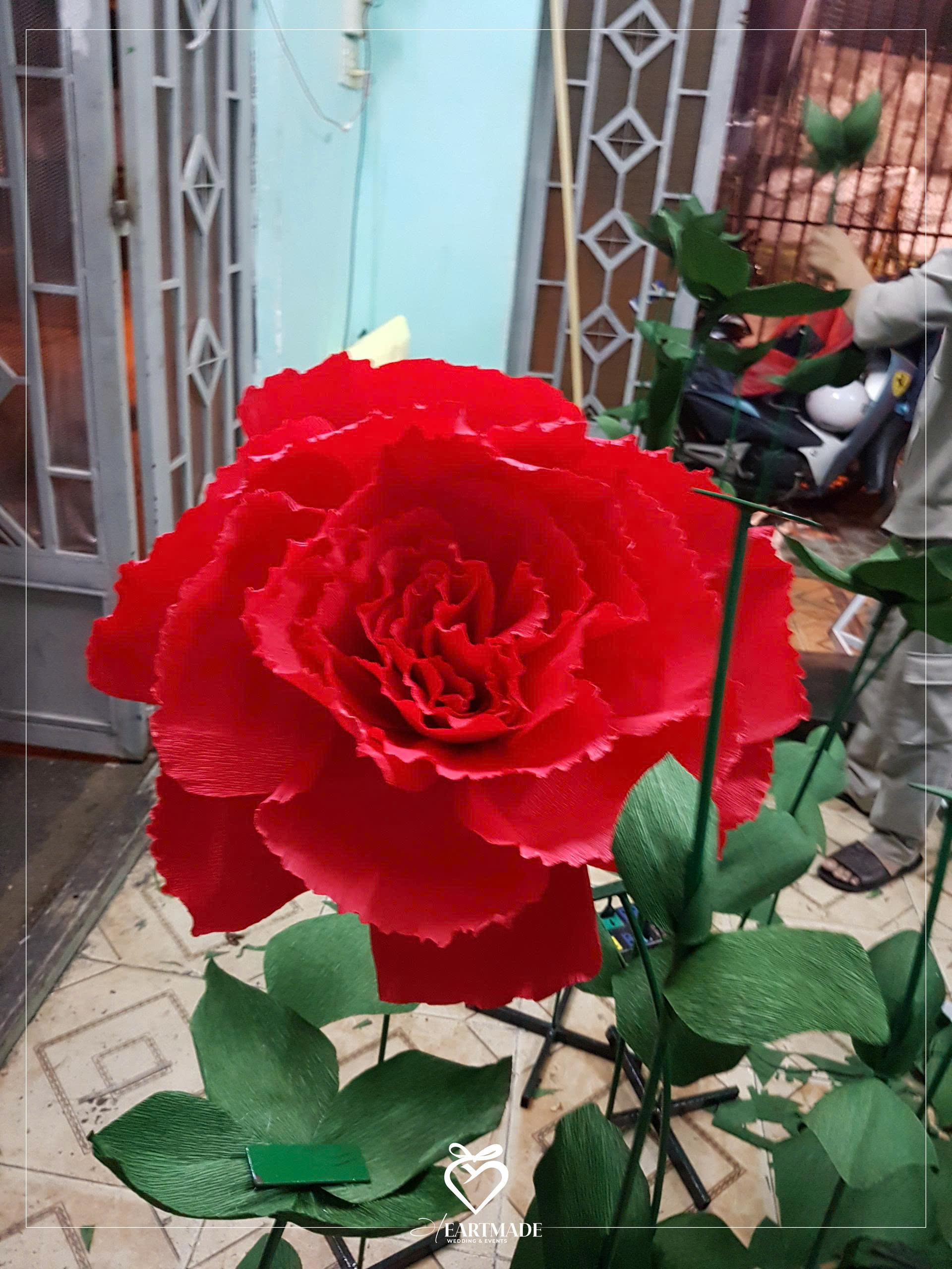 Thi công dự án 6